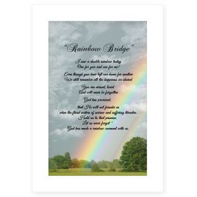 "Rainbow Bridge" by Trendy Decor  Print, White Frame