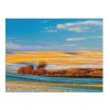 Grassland Backdrop Landscape Tapestry Painting Wall Art; 43x59 inch