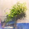 Creative Transparent glass handbag fish tank vase