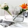 Creative Transparent glass handbag fish tank vase