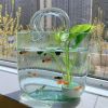 Creative Transparent glass handbag fish tank vase